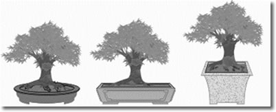 Bonsai matching container and styles